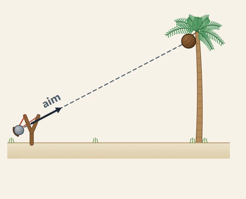 A slingshot aimed along a dashed line labeled aim at a coconut hanging from a palm tree. An arrow from the slingshot points along the aim line.